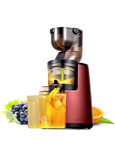 DSP Slow Press Juicer/ Vegetable & Fruit Extractor Juicer Machine. - Adnan Electronics