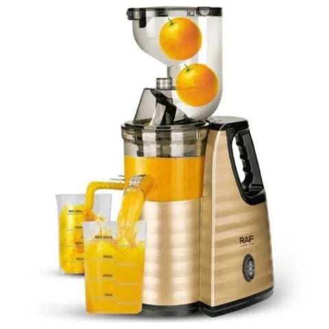 RAF Slow Press Juicer/ Vegetable & Fruit Extractor Juicer Machine.