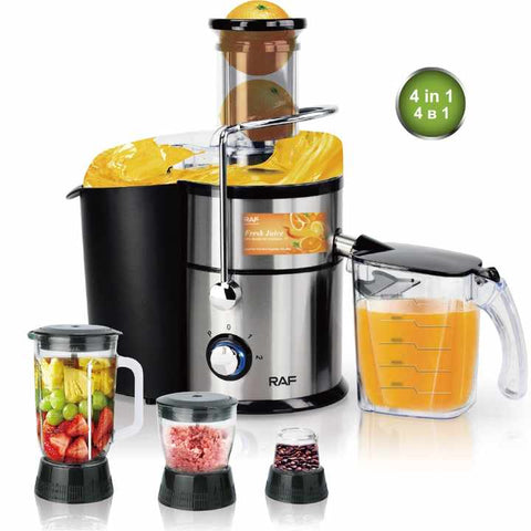 RAF R.2823 4 IN 1 Stainless Steel Juicer Extractor, Blender, Grinder, Chopper & Smoothie Ice Crusher - 1000W